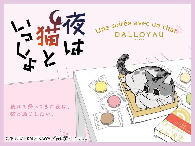 アニメ「夜は猫といっしょ」×「ダロワイヨ」コラボ！ショコラ缶とマグカップ発売