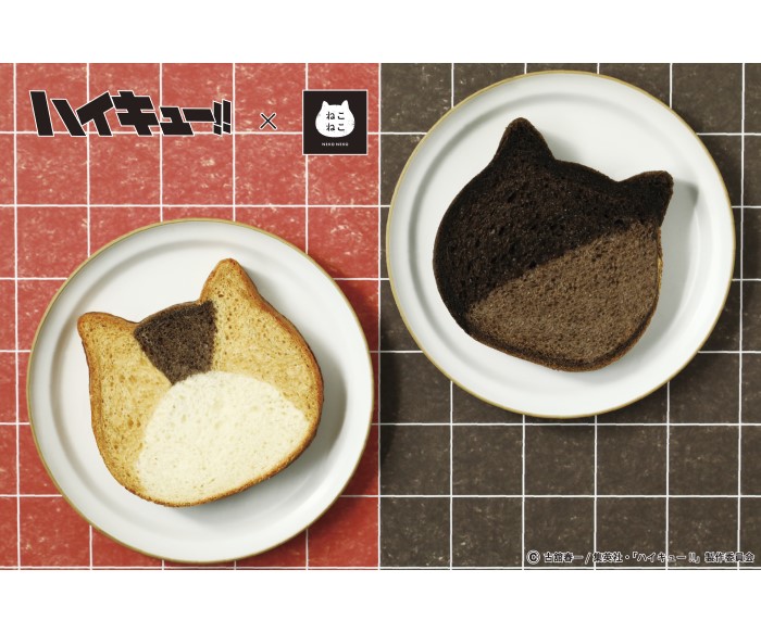 「ハイキュー!!」×「ねこねこ」初コラボ!ケンマネコとクロオネコの「ねこねこ食パン」が登場!