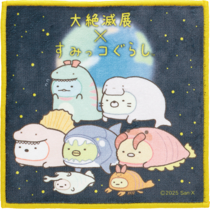 ミニタオル（990円※税込）