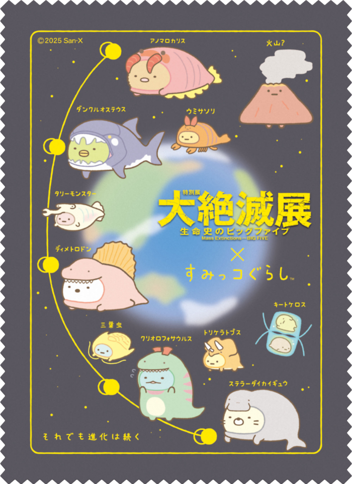 クリーナークロス（880円※税込）