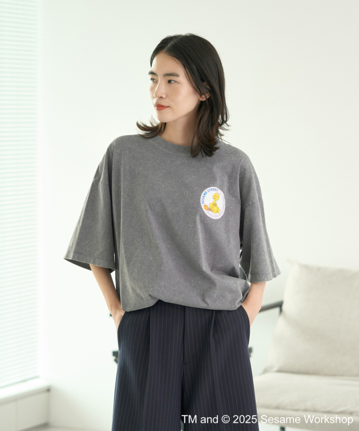 ビッグバード/T