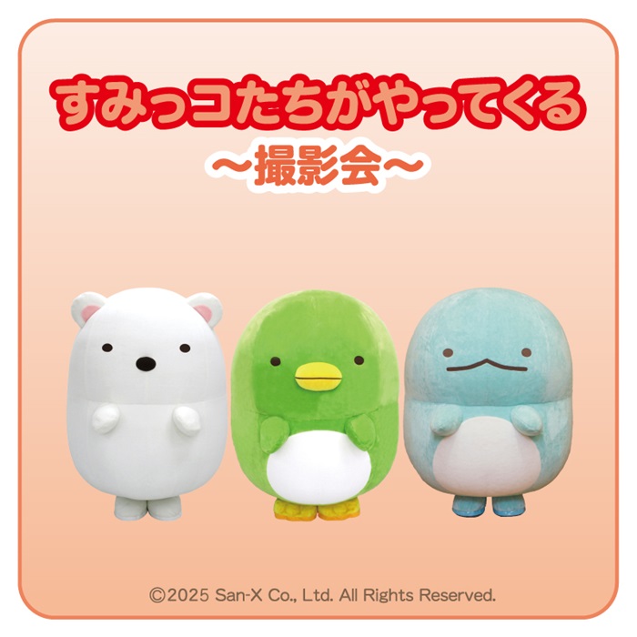 すみっコたちがやってくる～撮影会～<br>[福岡]　1/18(日)　ゆめタウン筑紫野<br>[広島]　1/24(土)　ゆめタウン東広島