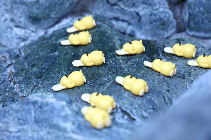 水風呂周辺のコダック型ソフビ